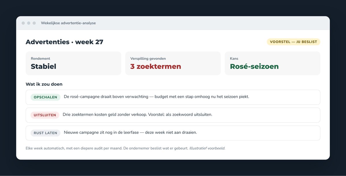 Een wekelijkse advertentie-analyse met voorstellen om op te schalen, uit te sluiten en met rust te laten