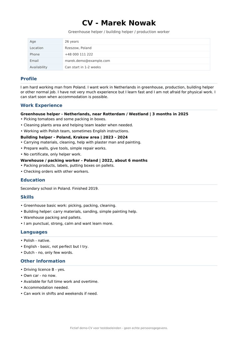 Eerste pagina van het originele demo-cv in gebrekkig Engels